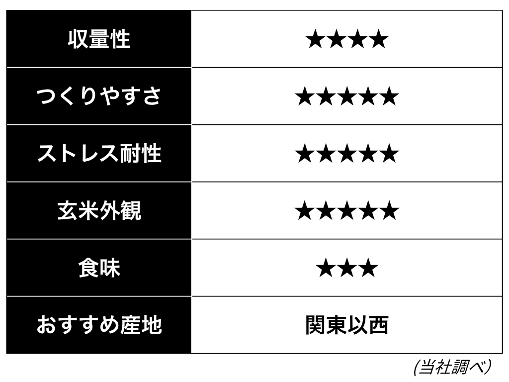にじのきらめき
